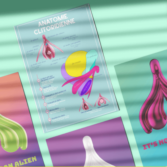 Affiche planche anatomique du clitoris | klit.