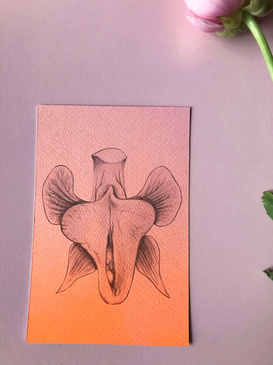 Lot de 5 cartes "Flower Vulva" / Carine Bovey