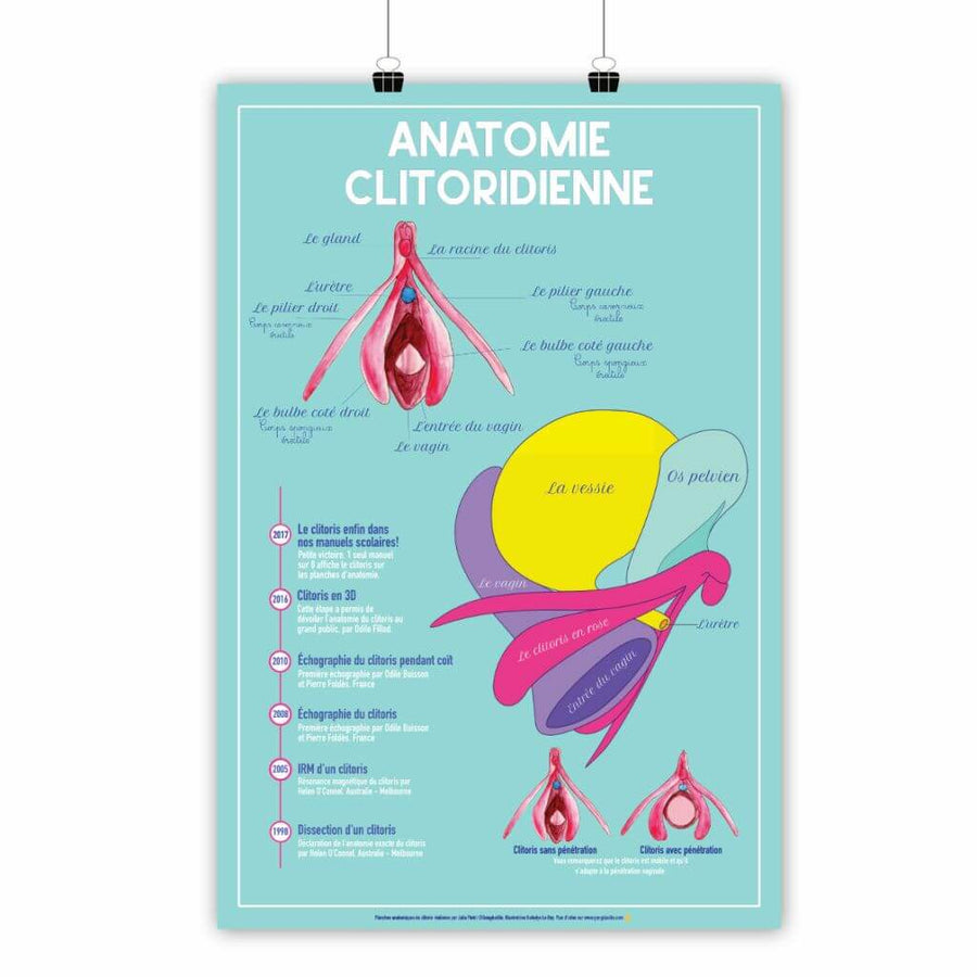 Affiche planche anatomique du clitoris | klit.
